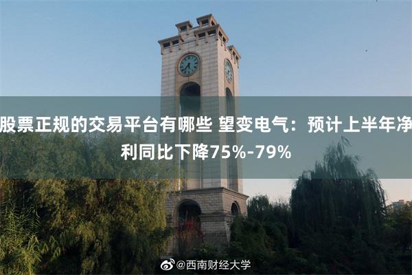 股票正规的交易平台有哪些 望变电气：预计上半年净利同比下降75%-79%