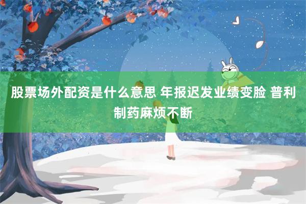 股票场外配资是什么意思 年报迟发业绩变脸 普利制药麻烦不断