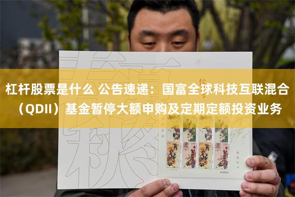 杠杆股票是什么 公告速递：国富全球科技互联混合（QDII）基金暂停大额申购及定期定额投资业务