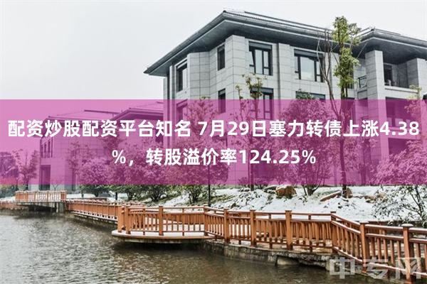 配资炒股配资平台知名 7月29日塞力转债上涨4.38%，转股溢价率124.25%