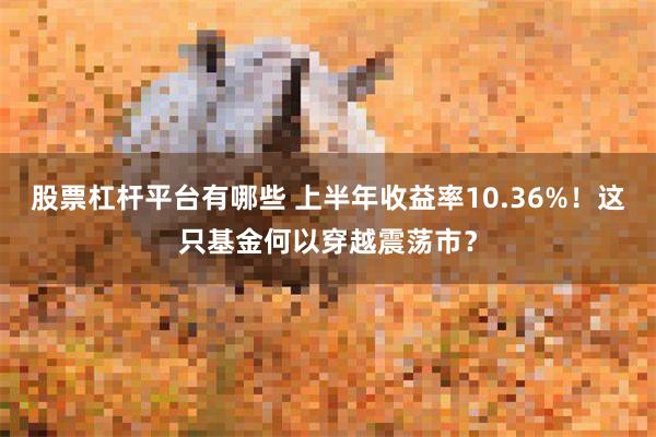 股票杠杆平台有哪些 上半年收益率10.36%！这只基金何以穿越震荡市？