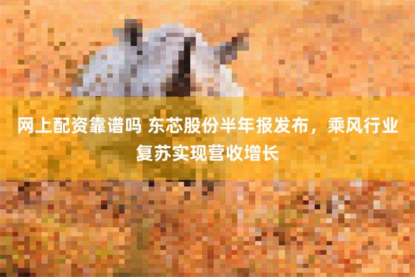 网上配资靠谱吗 东芯股份半年报发布，乘风行业复苏实现营收增长