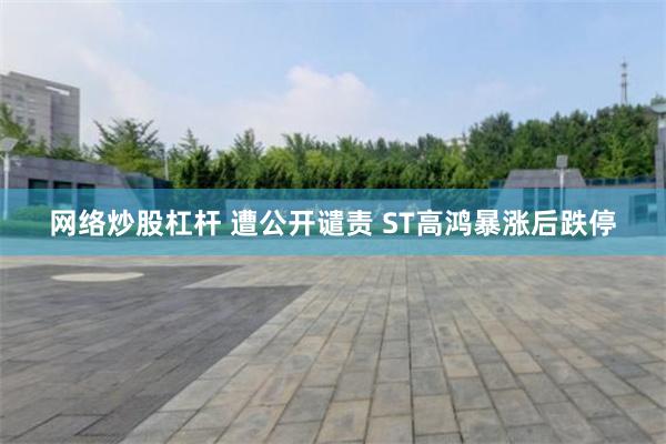 网络炒股杠杆 遭公开谴责 ST高鸿暴涨后跌停