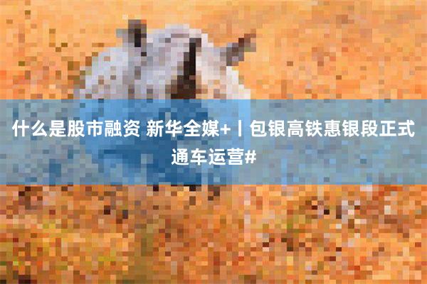 什么是股市融资 新华全媒+丨包银高铁惠银段正式通车运营#