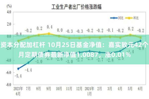 资本分配加杠杆 10月25日基金净值：嘉实致元42个月定期债券最新净值1.0087，涨0.01%