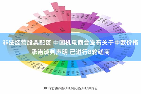 非法经营股票配资 中国机电商会发布关于中欧价格承诺谈判声明 已进行8轮磋商