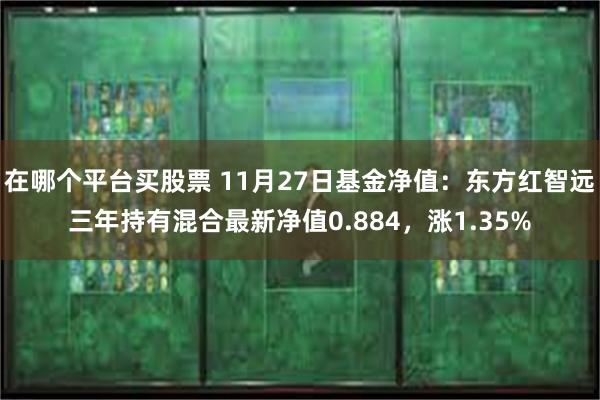 在哪个平台买股票 11月27日基金净值：东方红智远三年持有混合最新净值0.884，涨1.35%