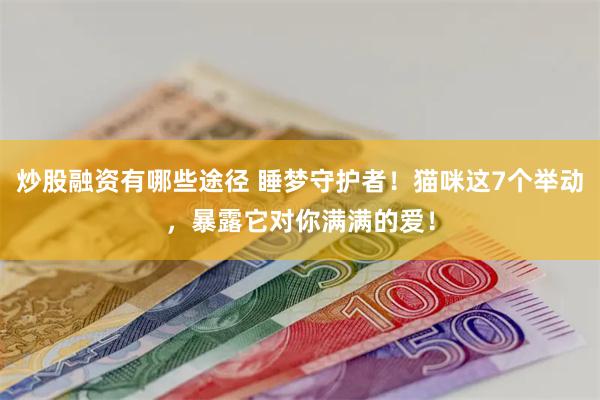 炒股融资有哪些途径 睡梦守护者！猫咪这7个举动，暴露它对你满满的爱！