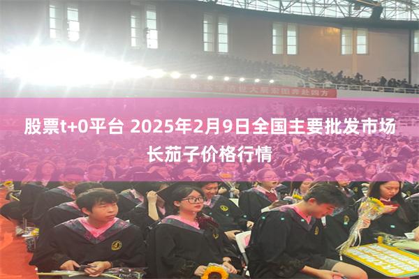 股票t+0平台 2025年2月9日全国主要批发市场长茄子价格行情