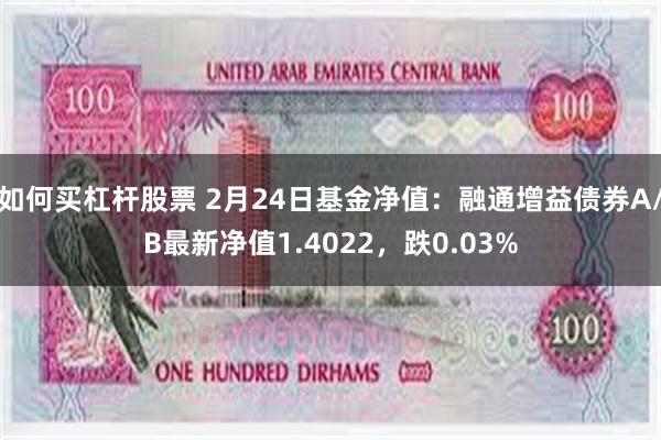 如何买杠杆股票 2月24日基金净值：融通增益债券A/B最新净值1.4022，跌0.03%