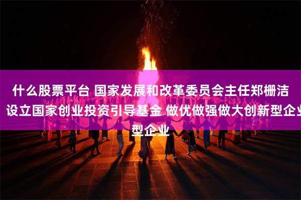 什么股票平台 国家发展和改革委员会主任郑栅洁：设立国家创业投资引导基金 做优做强做大创新型企业